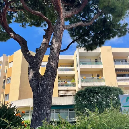 Forum Apartment *